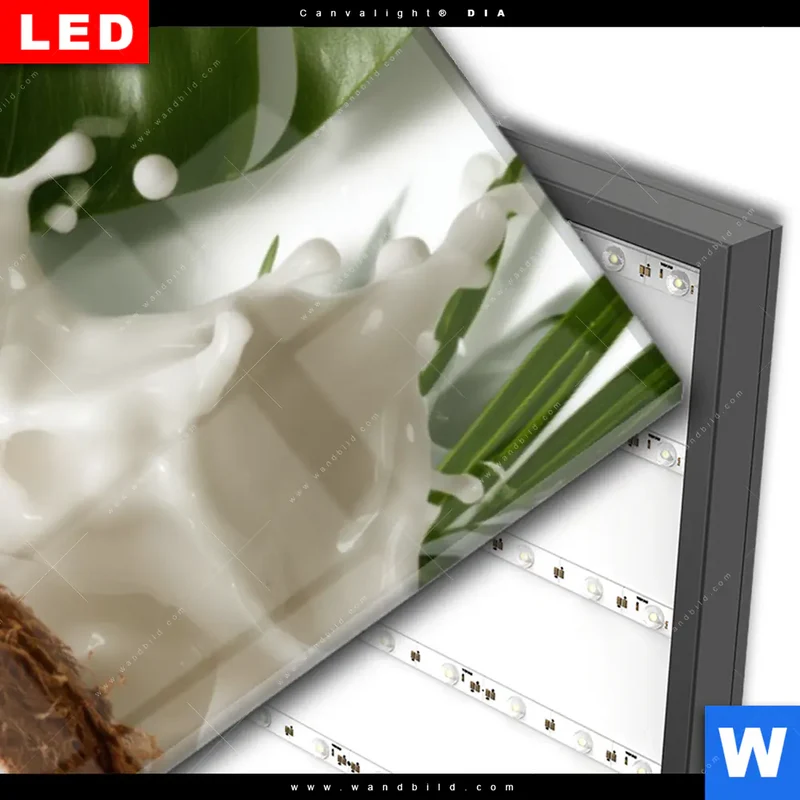 Wechselmotiv Acrylglas Canvalight® DIA | Kokosnuss mit Kokosmilch & Palmenblättern | Panorama