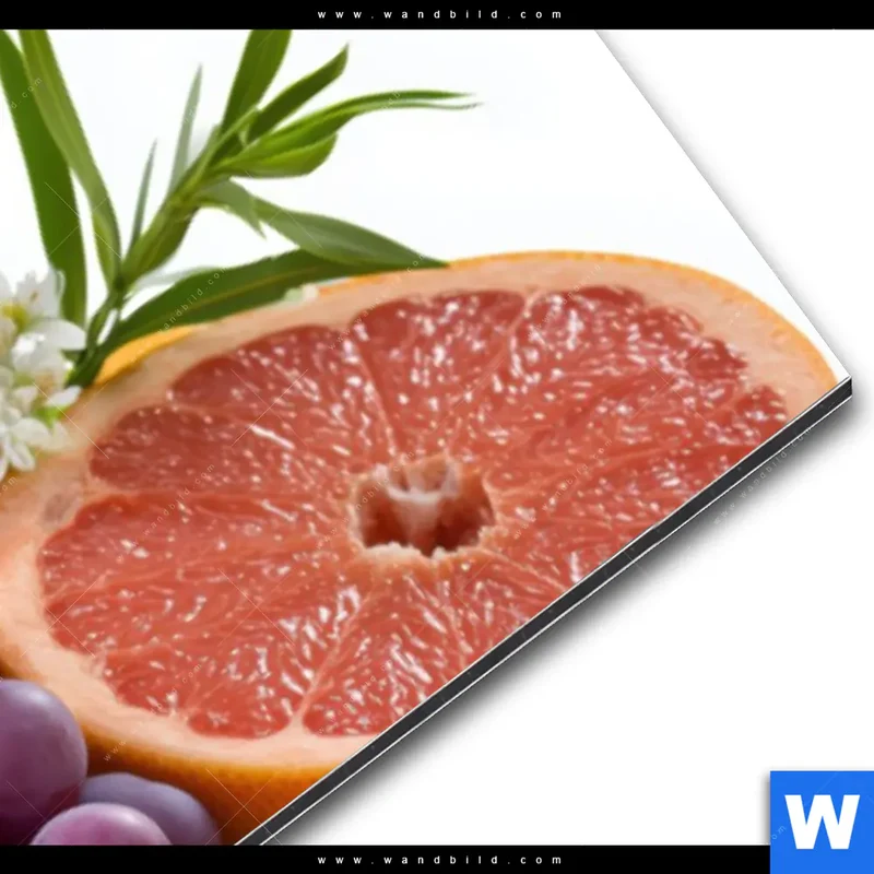 Alu-Dibond Bild | Exotische Früchte und Beeren | Panorama