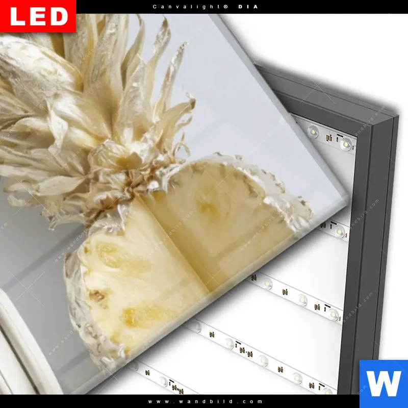 Wechselmotiv Acrylglas Canvalight® DIA | Goldene Ananas mit Kopfhörern | Panorama