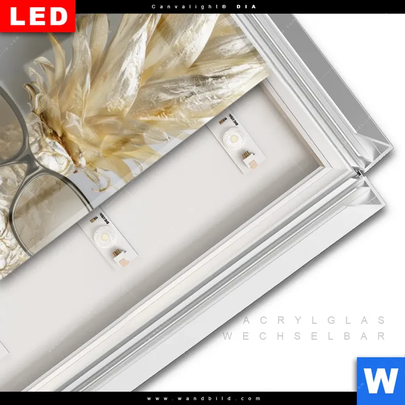 Leuchtbild Acrylglas Canvalight® DIA | Goldene Ananas mit Kopfhörern | Hochformat