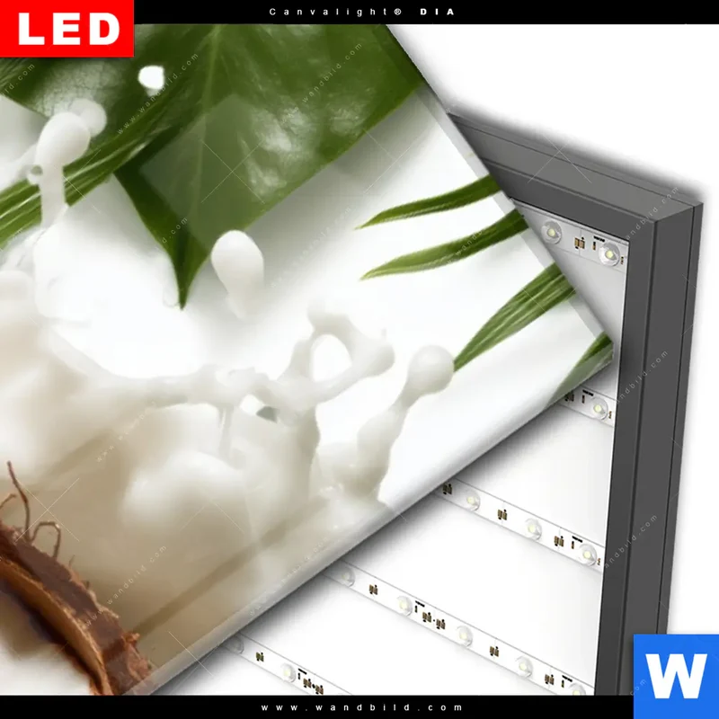Wechselmotiv Acrylglas Canvalight® DIA | Kokosnuss mit Kokosmilch & Palmenblättern | Schmal