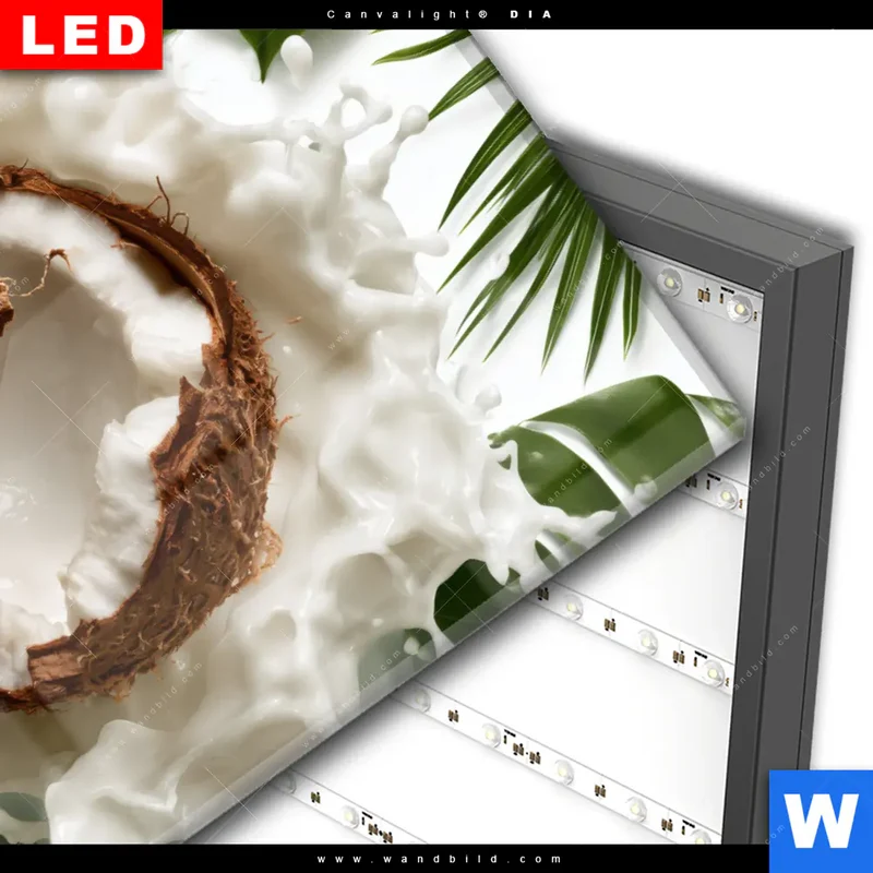 Wechselmotiv Acrylglas Canvalight® DIA | Kokosnuss mit Kokosmilch & Palmenblättern | Hochformat