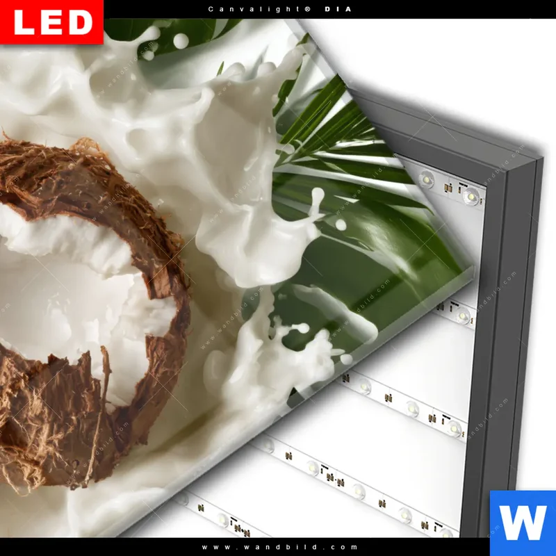 Wechselmotiv Acrylglas Canvalight® DIA | Kokosnuss mit Kokosmilch & Palmenblättern | Querformat