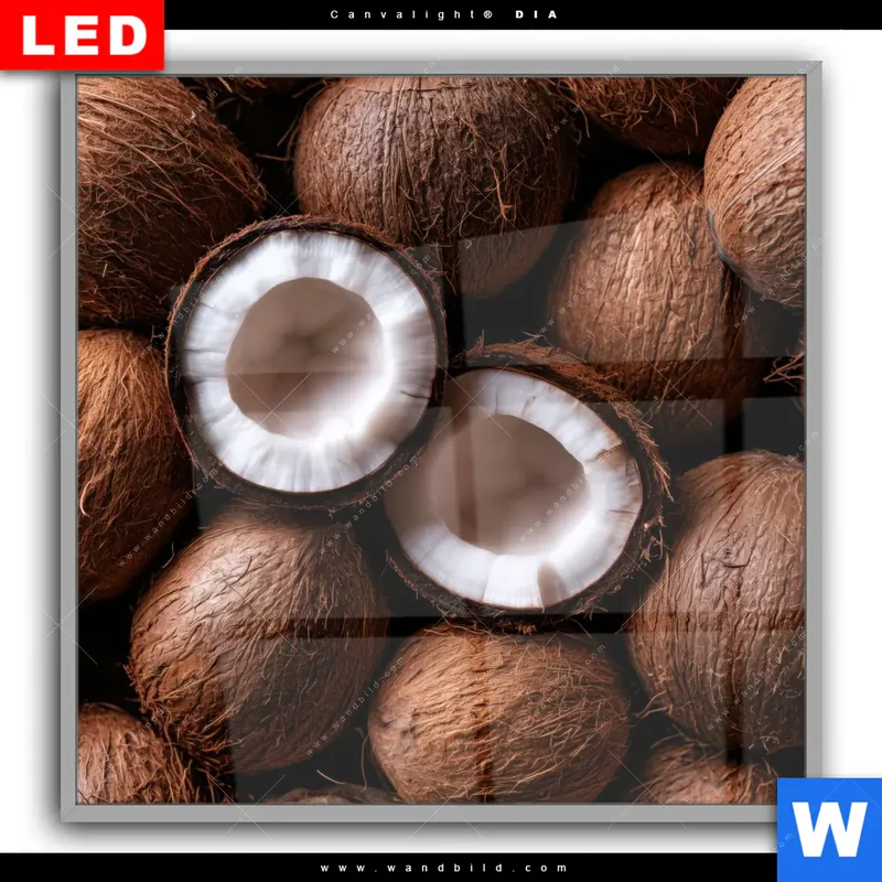 Leuchtbild Acrylglas Canvalight® DIA | Tropische Kokosnüsse – Exotischer Genuss | Quadrat
