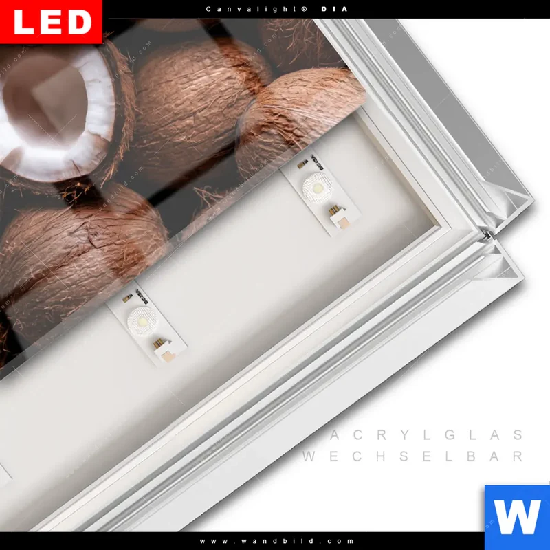 Leuchtbild Acrylglas Canvalight® DIA | Tropische Kokosnüsse – Exotischer Genuss | Quadrat
