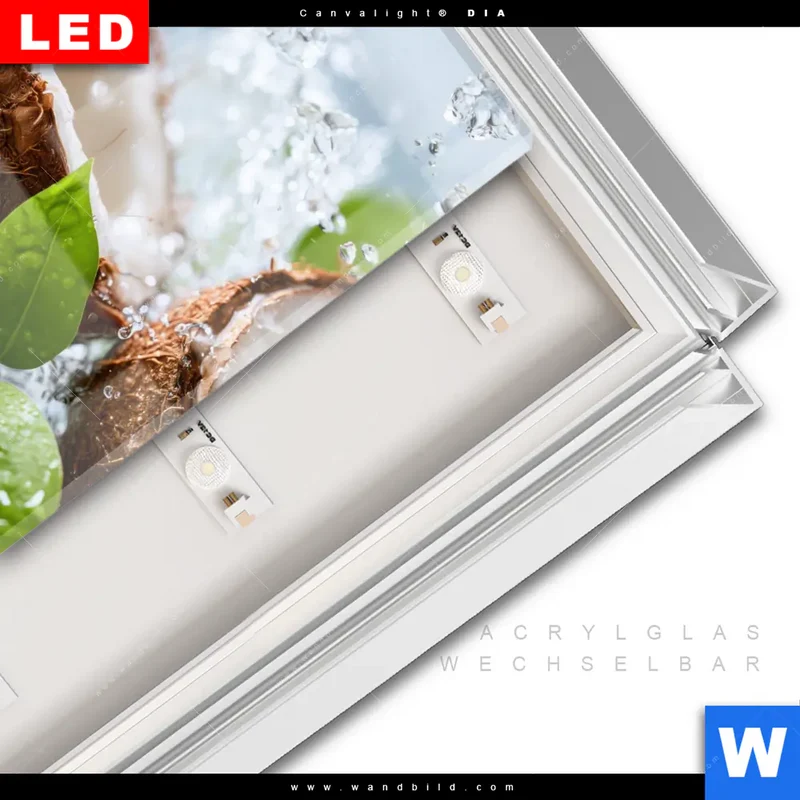 Leuchtbild Acrylglas Canvalight® DIA | Frische Kokosnuss im Wassersplash | Quadrat