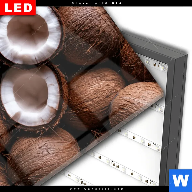 Wechselmotiv Acrylglas Canvalight® DIA | Tropische Kokosnüsse – Exotischer Genuss | Quadrat