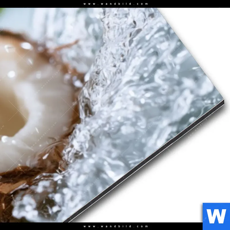 Alu-Dibond Bild | Frische Kokosnuss im Wassersplash | Panorama