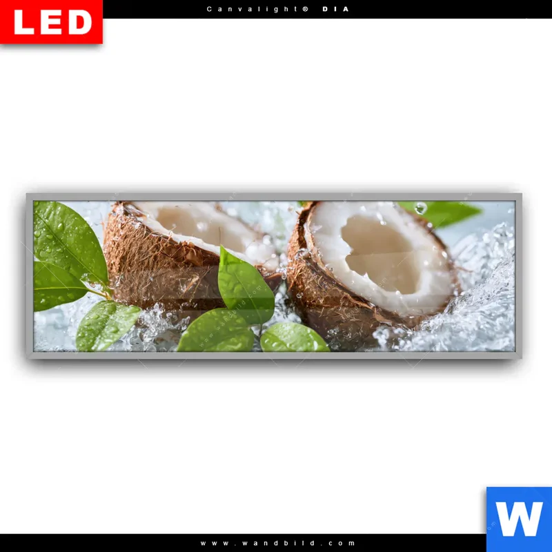 Leuchtbild Acrylglas Canvalight® DIA | Frische Kokosnuss im Wassersplash | Panorama