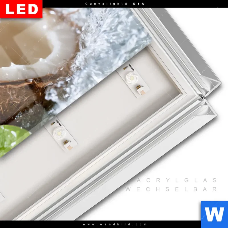 Leuchtbild Acrylglas Canvalight® DIA | Frische Kokosnuss im Wassersplash | Panorama