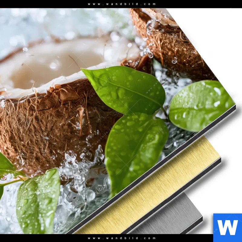 Aluminiumbild gebürstet | Frische Kokosnuss im Wassersplash | Quadrat