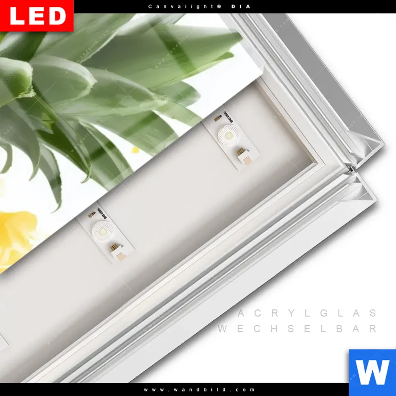 Leuchtbild Acrylglas Canvalight® DIA | Tropische Frische - Ananas-Explosion | Schmal