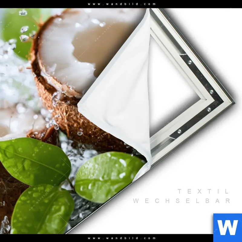 Spannbild | Frische Kokosnuss im Wassersplash | Querformat