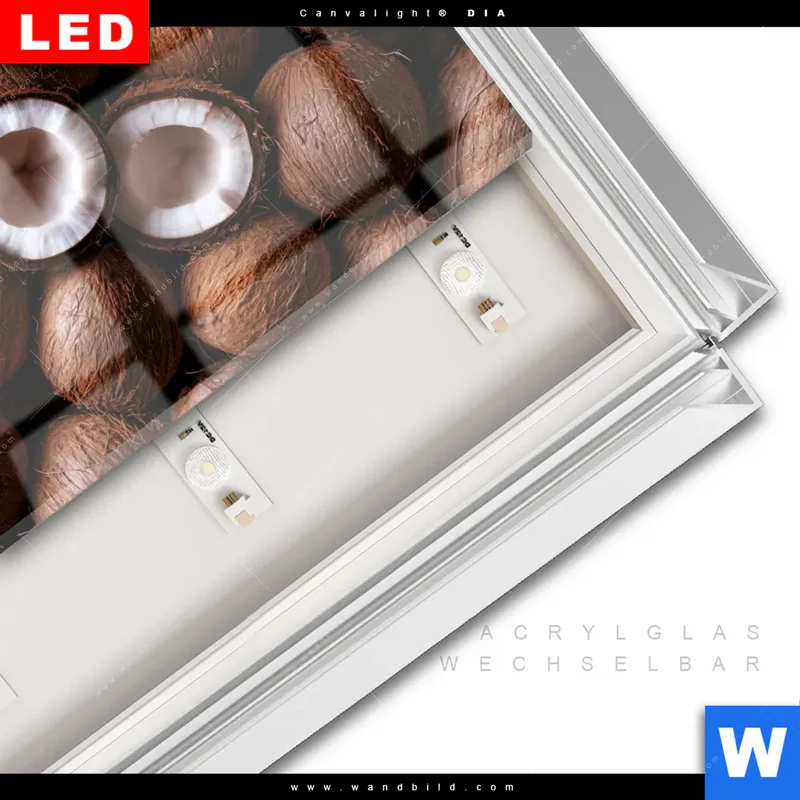Leuchtbild Acrylglas Canvalight® DIA | Tropische Kokosnüsse – Exotischer Genuss | Querformat