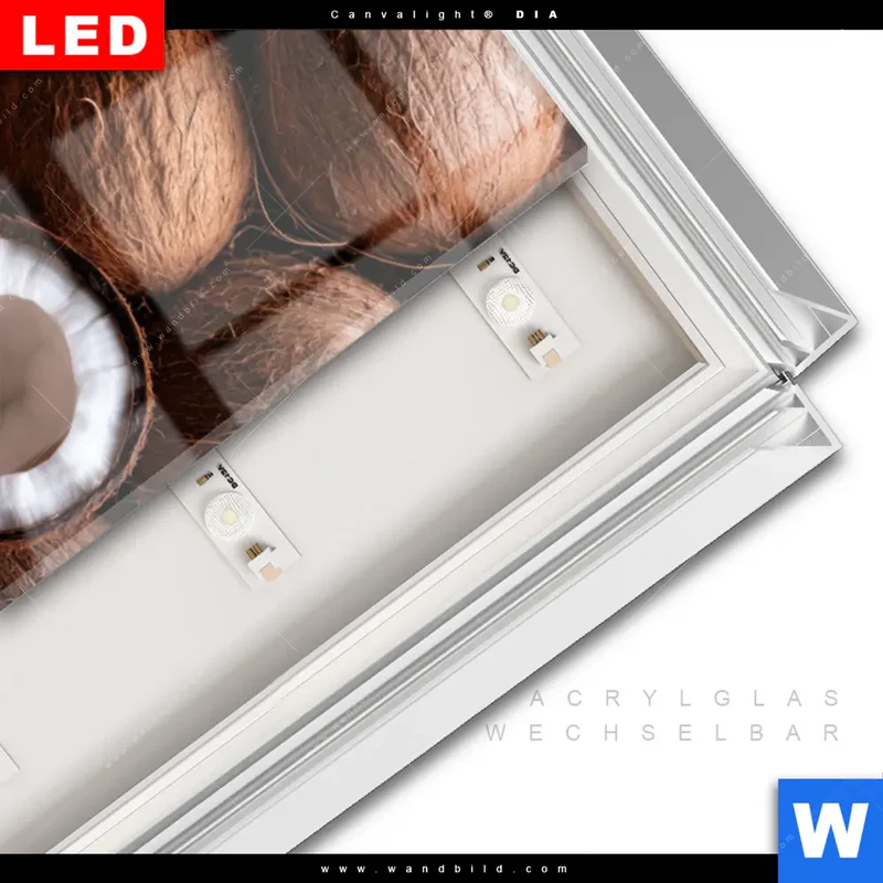 Leuchtbild Acrylglas Canvalight® DIA | Tropische Kokosnüsse – Exotischer Genuss | Schmal