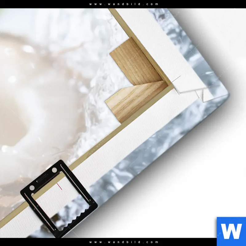 Leinwandbild | Frische Kokosnuss im Wassersplash | Panorama