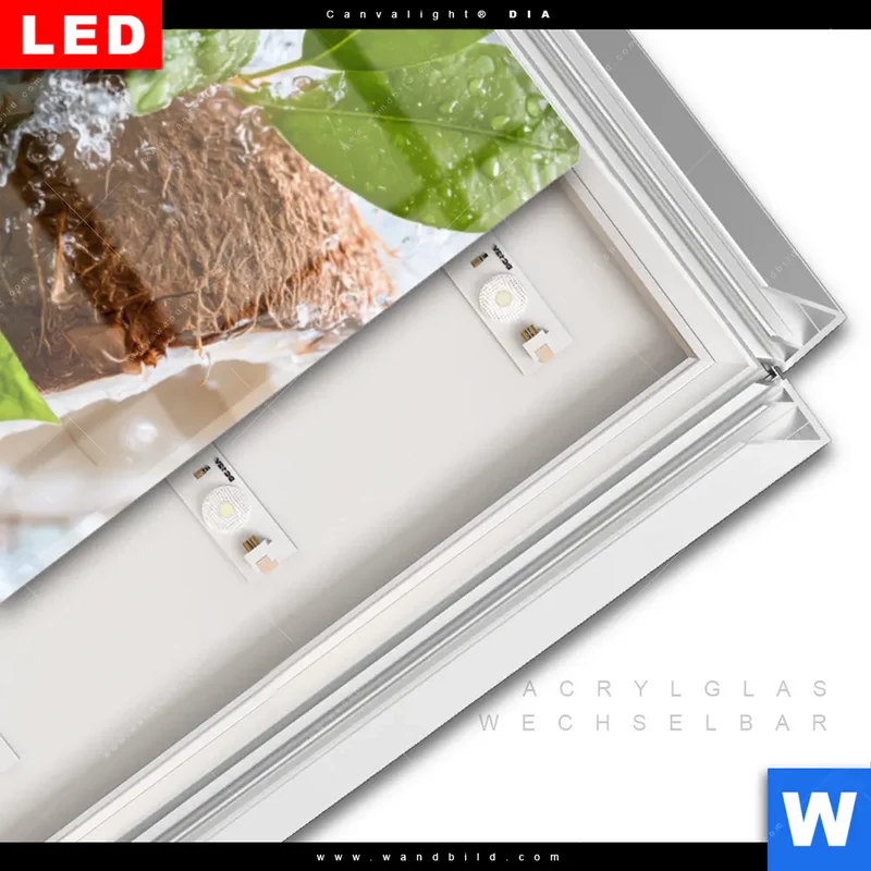 Leuchtbild Acrylglas Canvalight® DIA | Frische Kokosnuss im Wassersplash | Schmal