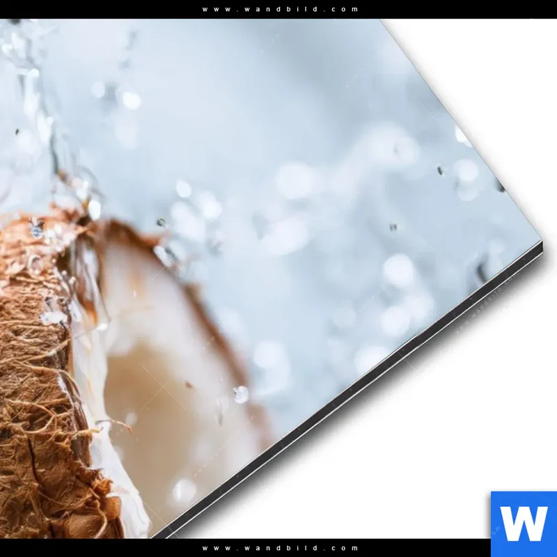 Alu-Dibond Bild | Frische Kokosnuss im Wassersplash | Hochformat