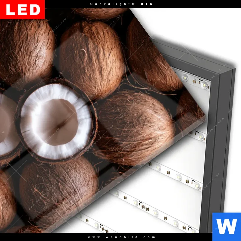 Wechselmotiv Acrylglas Canvalight® DIA | Tropische Kokosnüsse – Exotischer Genuss | Hochformat