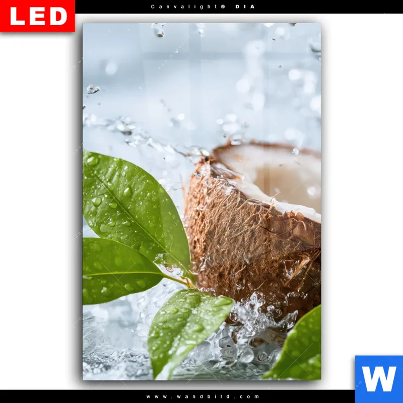 Wechselmotiv Acrylglas Canvalight® DIA | Frische Kokosnuss im Wassersplash | Hochformat