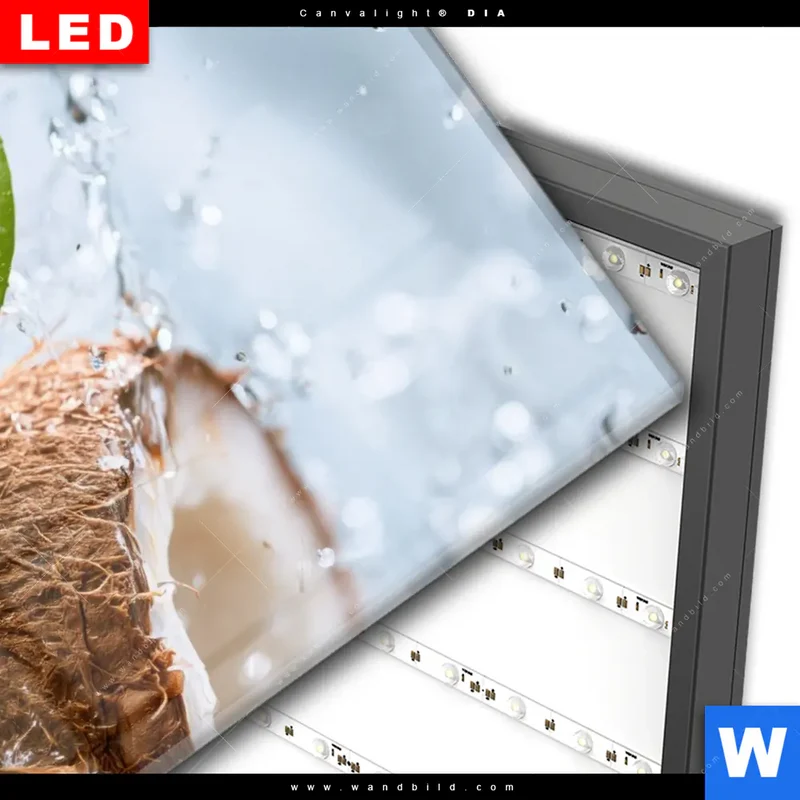Wechselmotiv Acrylglas Canvalight® DIA | Frische Kokosnuss im Wassersplash | Hochformat