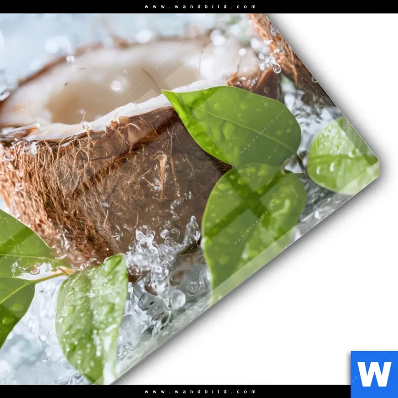 Acrylglasbild | Frische Kokosnuss im Wassersplash | Rund