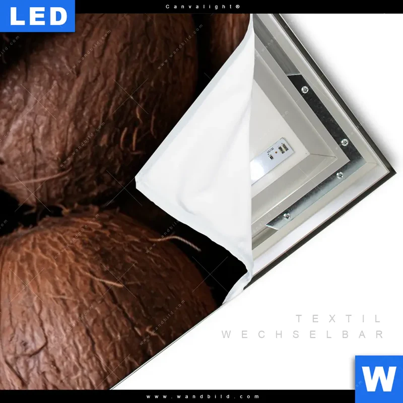 Canvalight® Leuchtbild | Tropische Kokosnüsse – Exotischer Genuss | Panorama