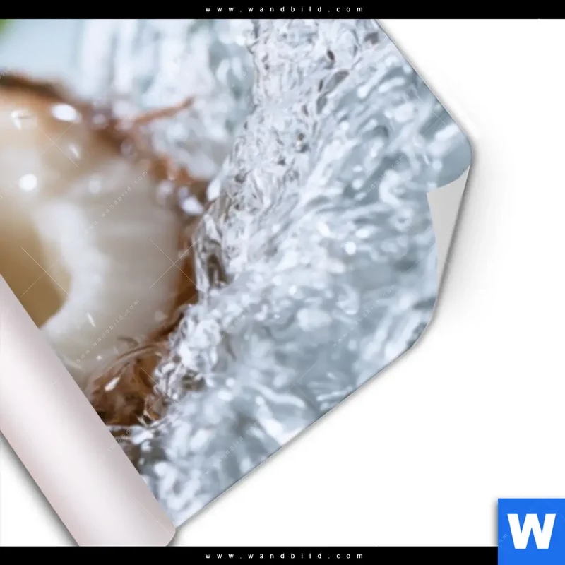Poster | Frische Kokosnuss im Wassersplash | Panorama