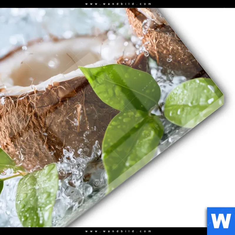Acrylglasbild | Frische Kokosnuss im Wassersplash | Quadrat