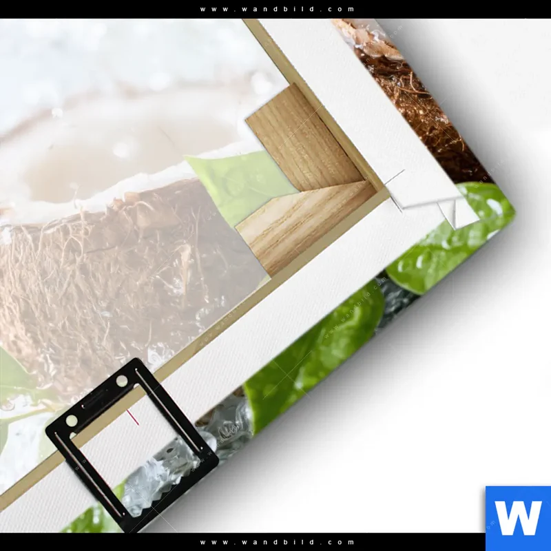 Leinwandbild | Frische Kokosnuss im Wassersplash | Quadrat