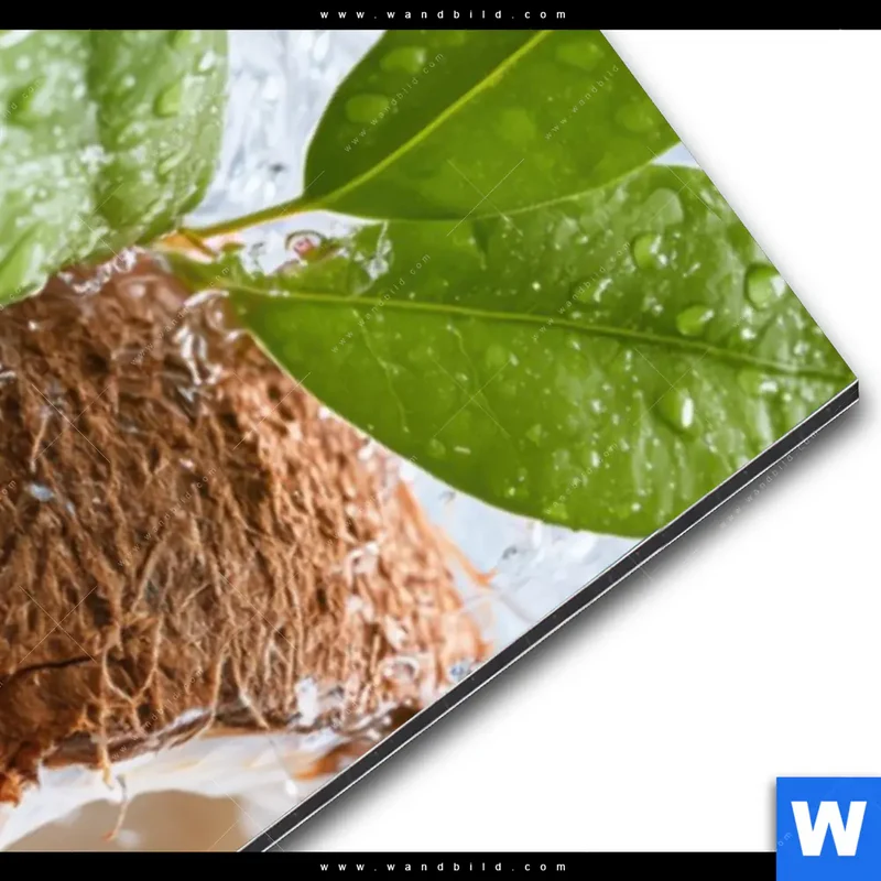 Alu-Dibond Bild | Frische Kokosnuss im Wassersplash | Schmal