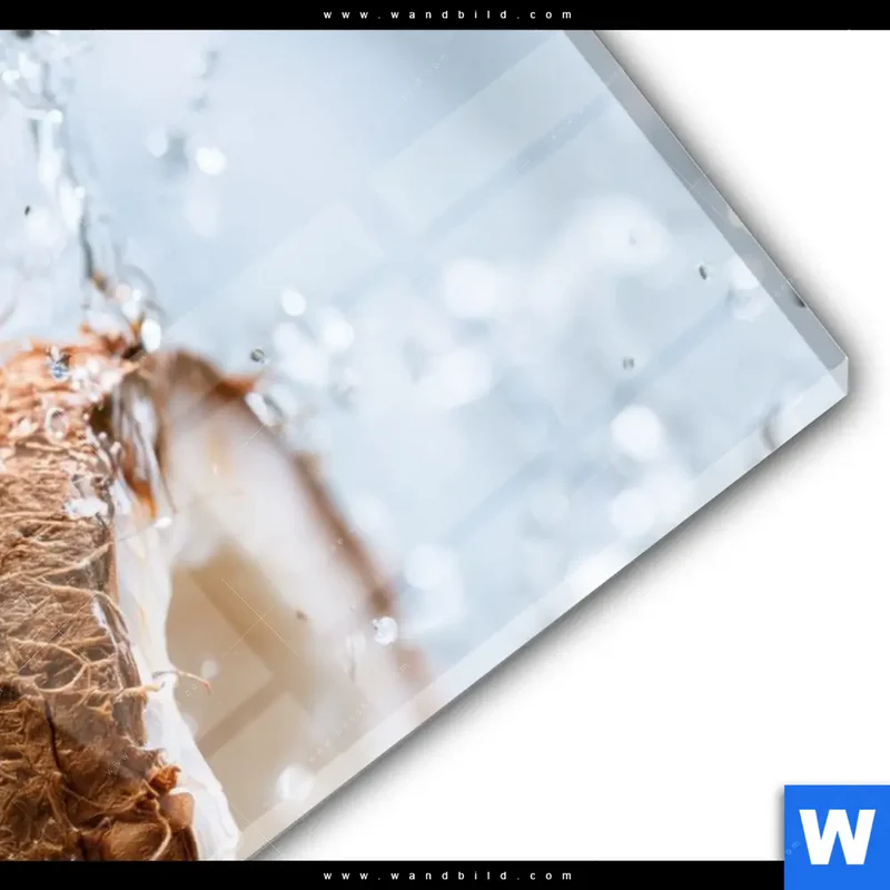 Acrylglasbild | Frische Kokosnuss im Wassersplash | Hochformat