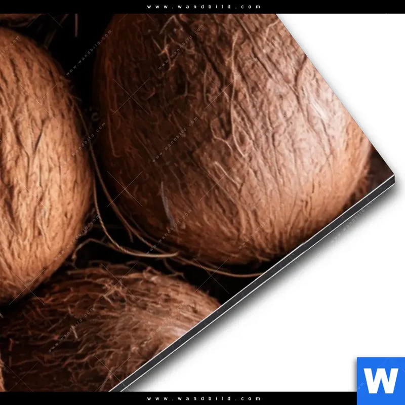 Alu-Dibond Bild | Tropische Kokosnüsse – Exotischer Genuss | Schmal