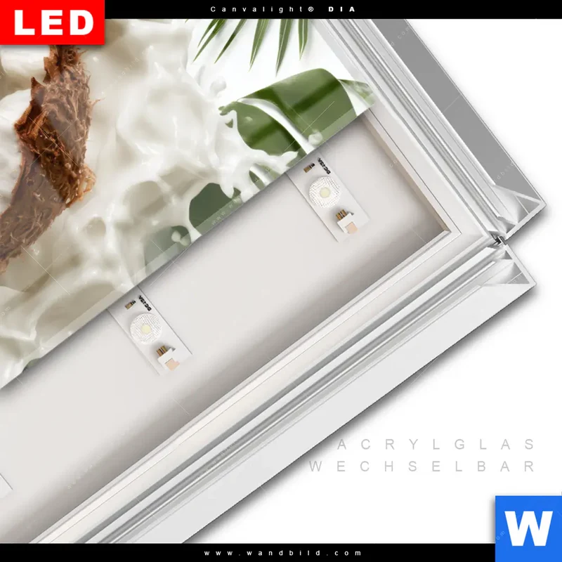 Leuchtbild Acrylglas Canvalight® DIA | Kokosnuss mit Kokosmilch & Palmenblättern | Hochformat