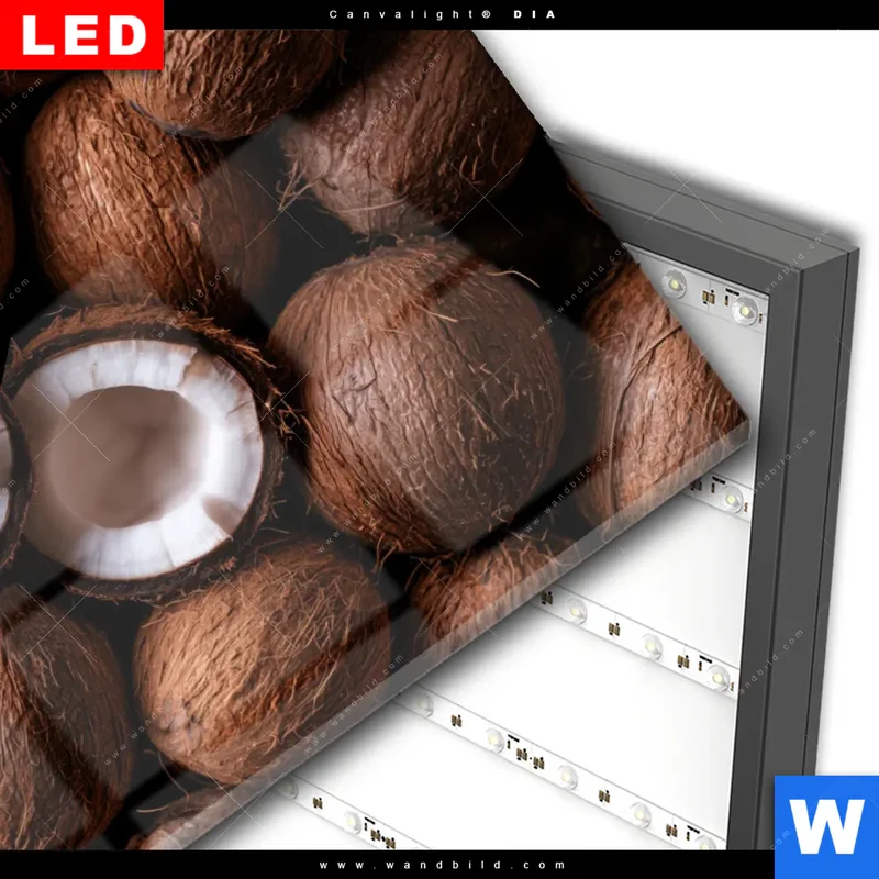 Wechselmotiv Acrylglas Canvalight® DIA | Tropische Kokosnüsse – Exotischer Genuss | Querformat