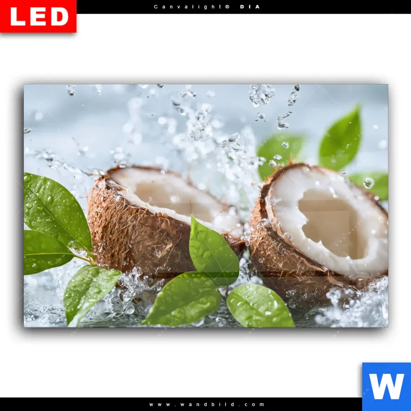 Wechselmotiv Acrylglas Canvalight® DIA | Frische Kokosnuss im Wassersplash | Querformat