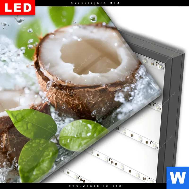 Wechselmotiv Acrylglas Canvalight® DIA | Frische Kokosnuss im Wassersplash | Querformat