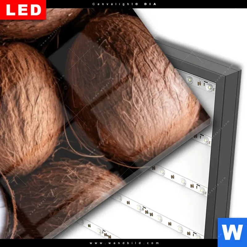 Wechselmotiv Acrylglas Canvalight® DIA | Tropische Kokosnüsse – Exotischer Genuss | Schmal