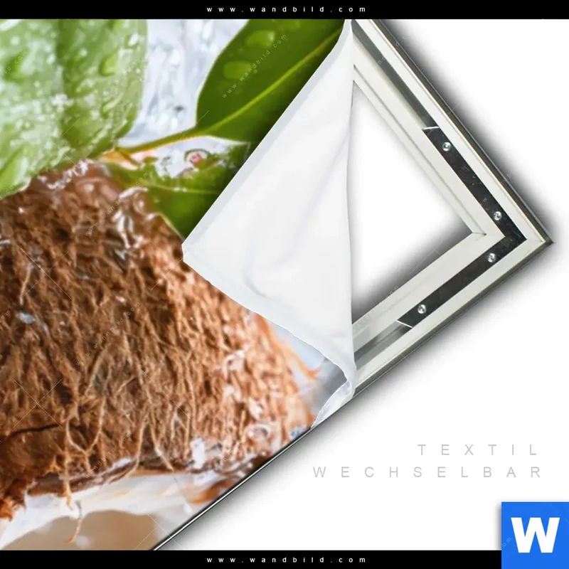 Spannbild | Frische Kokosnuss im Wassersplash | Schmal