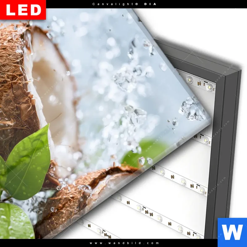 Wechselmotiv Acrylglas Canvalight® DIA | Frische Kokosnuss im Wassersplash | Quadrat