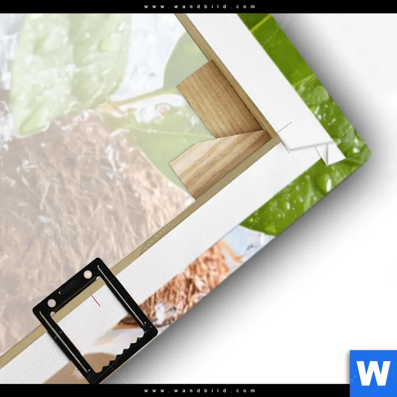 Leinwandbild | Frische Kokosnuss im Wassersplash | Schmal