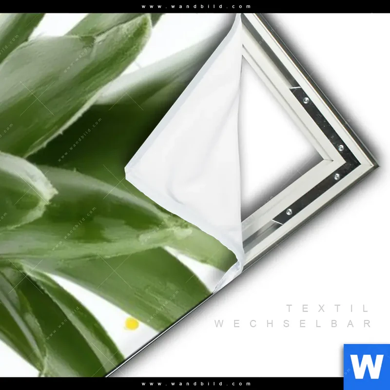 Spannbild | Tropische Frische - Ananas-Explosion | Schmal