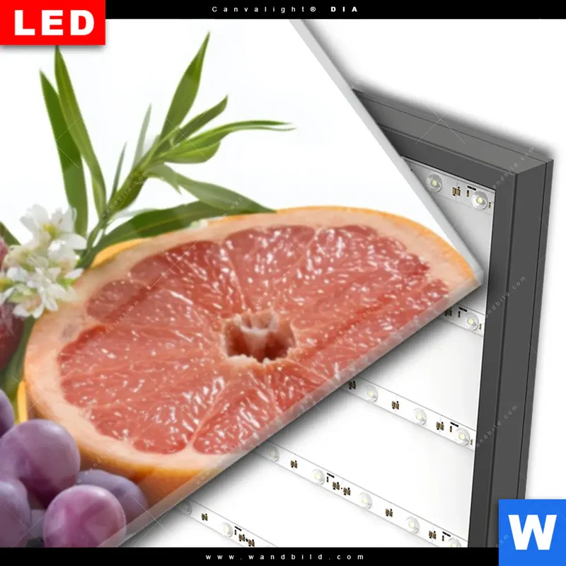 Wechselmotiv Acrylglas Canvalight® DIA | Exotische Früchte und Beeren | Panorama