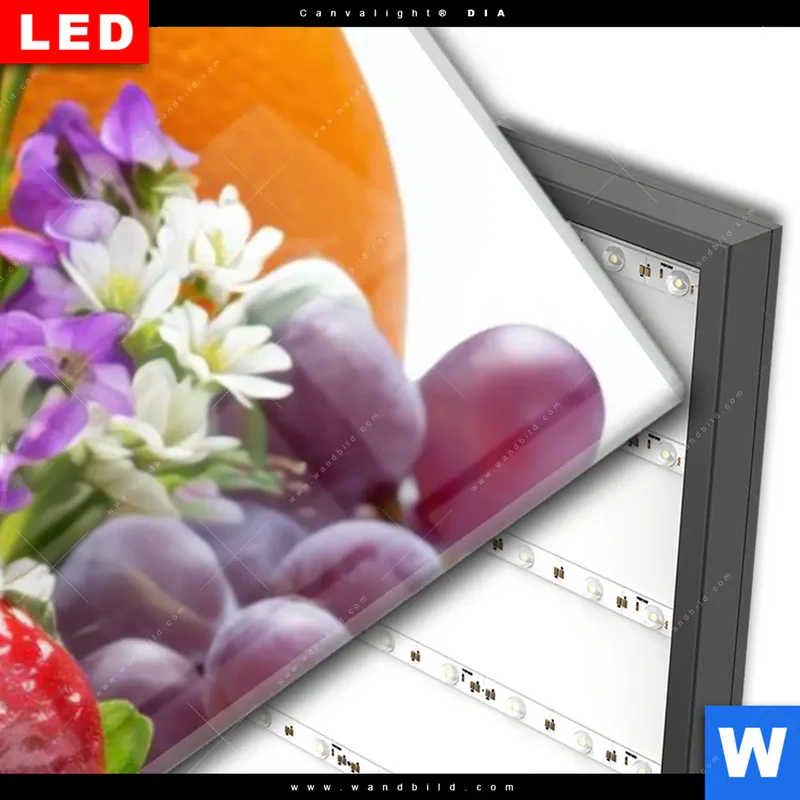 Wechselmotiv Acrylglas Canvalight® DIA | Exotische Früchte und Beeren | Schmal