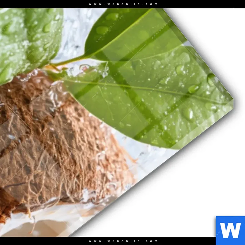 Acrylglasbild | Frische Kokosnuss im Wassersplash | Schmal