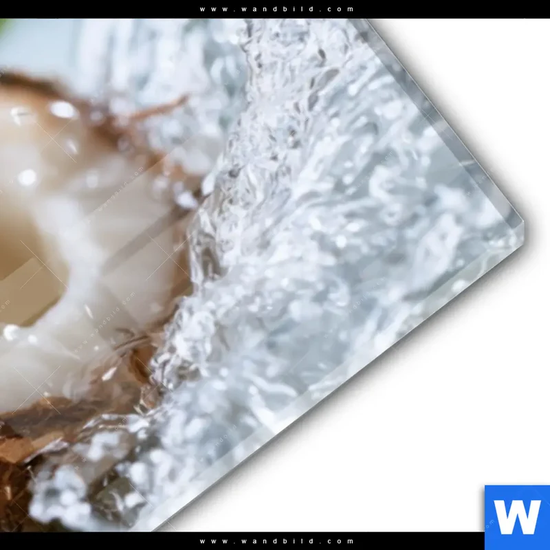 Acrylglasbild | Frische Kokosnuss im Wassersplash | Panorama