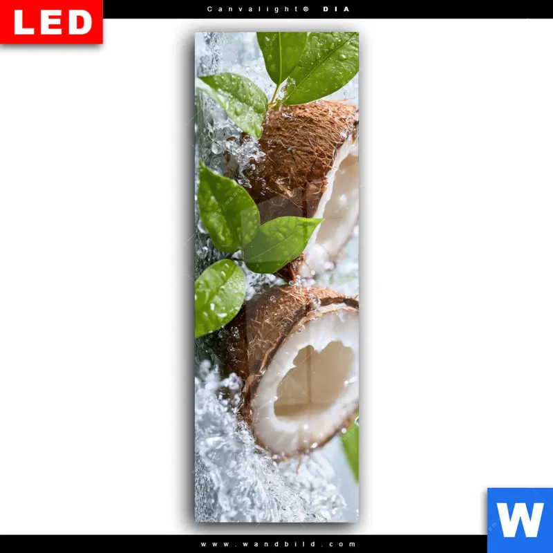 Wechselmotiv Acrylglas Canvalight® DIA | Frische Kokosnuss im Wassersplash | Schmal