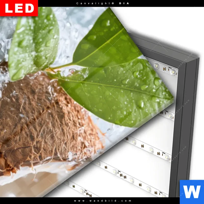 Wechselmotiv Acrylglas Canvalight® DIA | Frische Kokosnuss im Wassersplash | Schmal