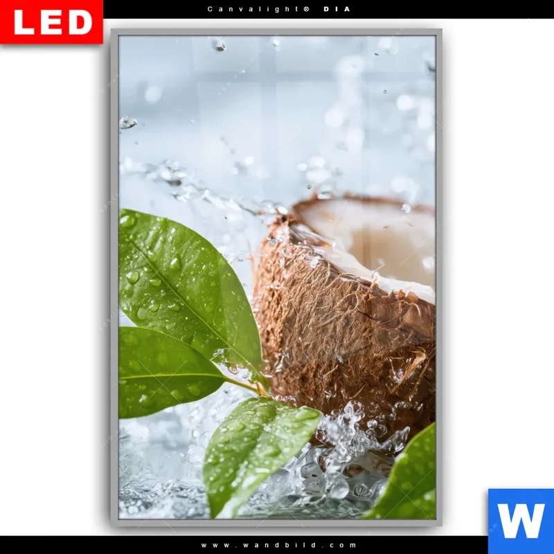 Leuchtbild Acrylglas Canvalight® DIA | Frische Kokosnuss im Wassersplash | Hochformat