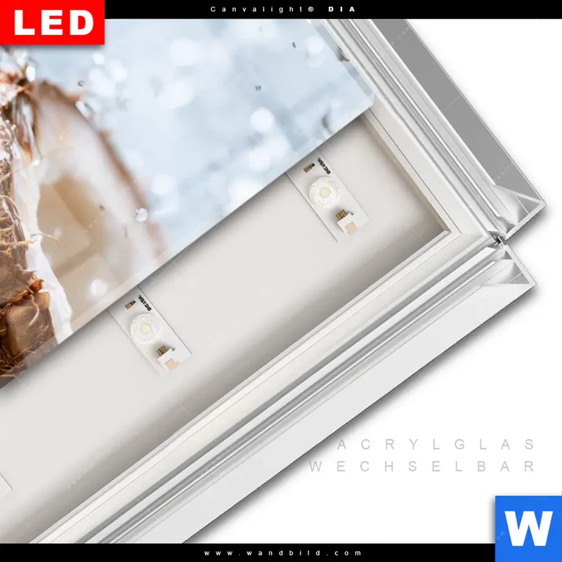 Leuchtbild Acrylglas Canvalight® DIA | Frische Kokosnuss im Wassersplash | Hochformat